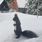 La Familia Jahorina