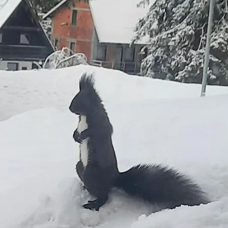La Familia Jahorina
